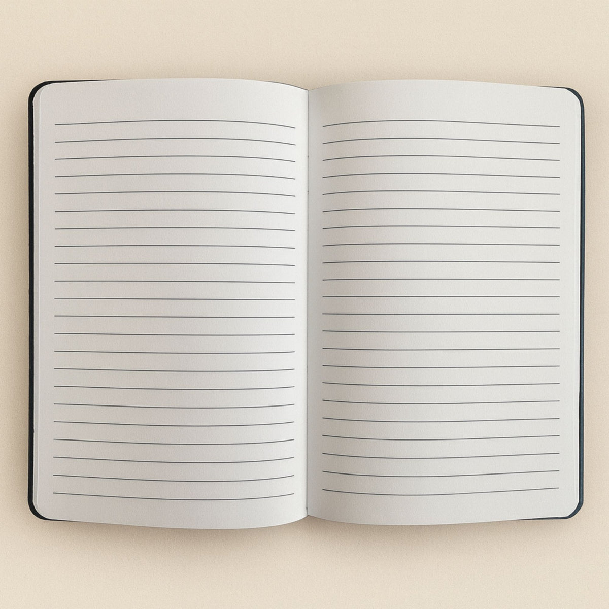 Cuaderno de terciopelo negro · Aprovecha el día · 80 páginas