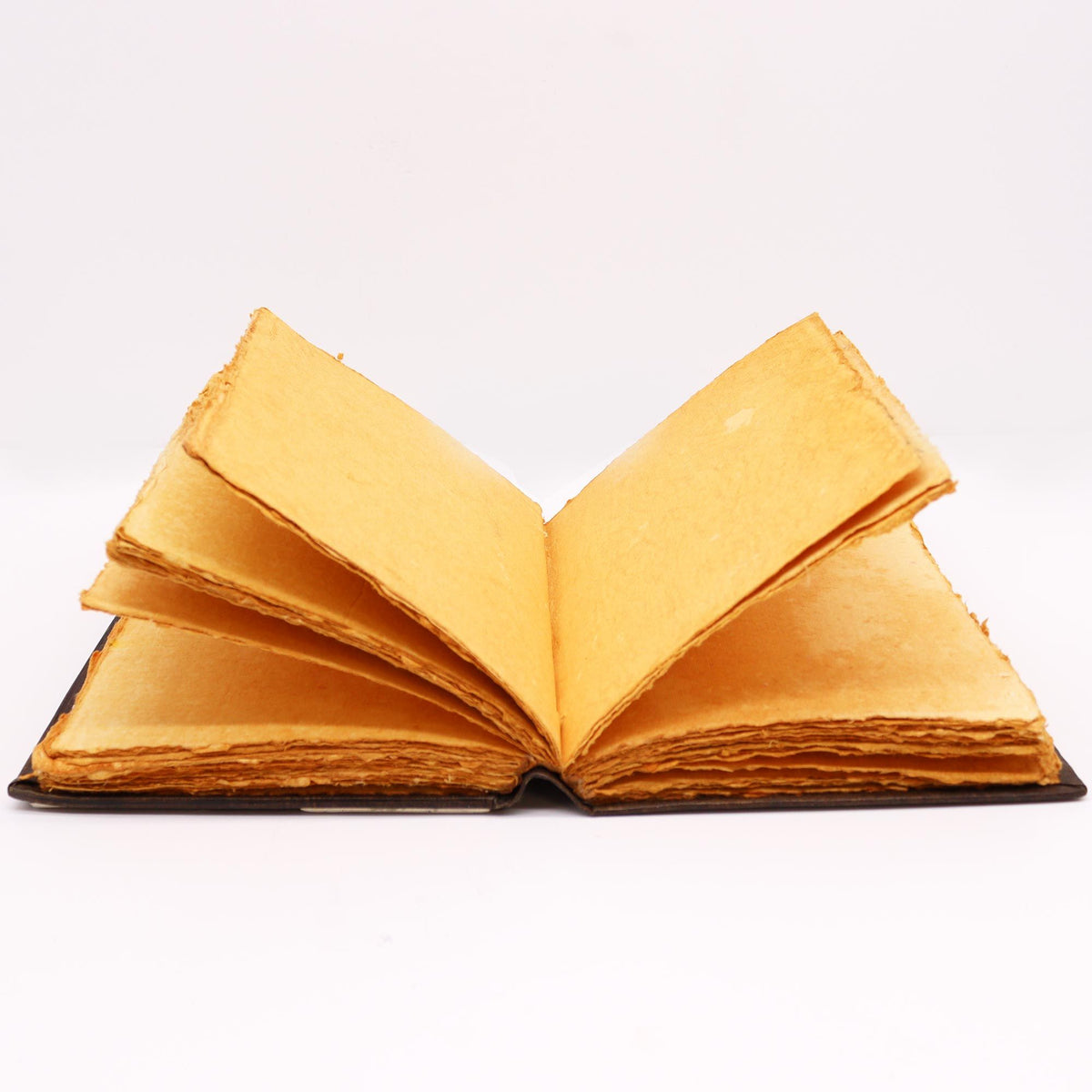 Cuaderno de cuero rojo · Rosas de zinc