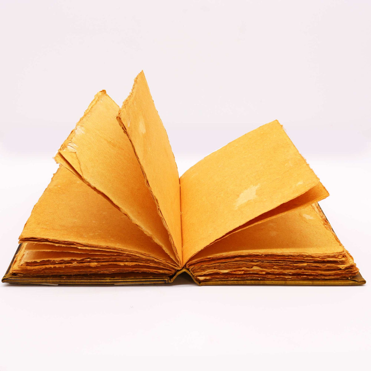 Cuaderno de cuero marrón · Búhos de zinc